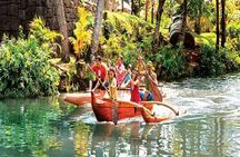 Pearl Harbor, Dole Plantation, and Polynesian Center from Maui