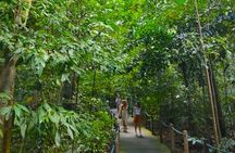Private Tour Singapore Botanic Garden (UNESCO)