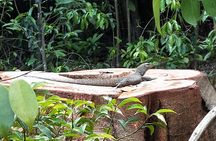 Private Tour Singapore Botanic Garden (UNESCO)