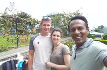 Private day tour kandy to nuwara eliya tea plantation 