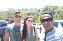 Private day tour kandy to nuwara eliya tea plantation 