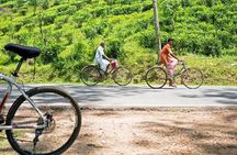 Ella Cycling Tour