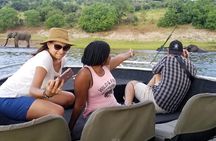 Chobe Day Trip From Victoria Falls Zimbabwe
