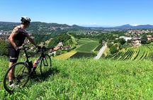 E-Bike Tour Lake Como and Swiss Vineyards