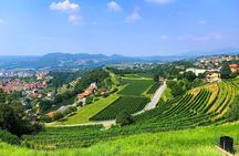 E-Bike tour Lake Como view and Swiss vineyards