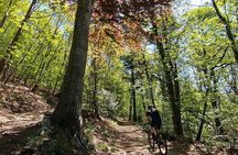 Mountain Bike tour in Spina Verde natural park