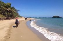 Puerto Plata: Sunset Beach Horseback Riding