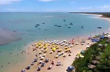 Tour to Praia do Forte and Guarajuba