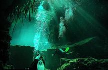 Discover Scuba Diving at Casa Cenote