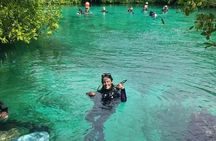 Discover Scuba Diving at Casa Cenote