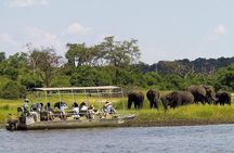  Chobe Full Day Trip