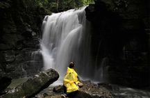 2 Full Days Exploring The Ecuadorian Amazon | Tour Start In Quito