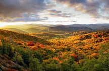Private Waterfall and Blue Ridge Parkway Tour with a Naturalist 