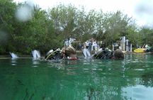 Discover Scuba Diving in Tulum
