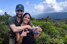 Private Waterfall and Blue Ridge Parkway Tour with a Naturalist 