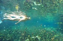 Snorkeling Adventure Tour Reef & Cenote 