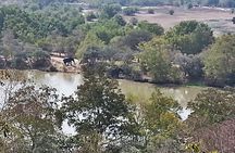 2 Days (1 night) Elephants Safari at Mole Park with Round - trip flights