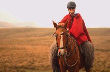 5 Days Quito to Cotopaxi, Quilotoa, Baños, and Jungle Adventure