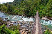 full-day | Jungle, Canyon and Cavern Tour