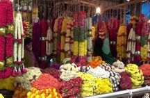 4-Hour Private Photowalk Tour in Bengaluru
