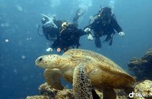 TRY SCUBA (non diver)