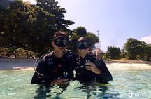 TRY SCUBA (non diver)