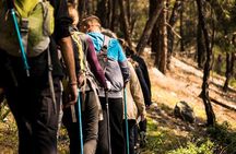 Hiking Mountain Akramitis Rhodes - pick up service available