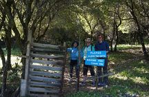 Hiking Profitis Ilias Mountain