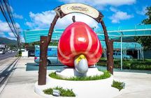 Phuket Customized Sightseeing Tour