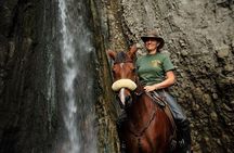7 Day Joined Safari Serengeti,Ngorongoro,Manyara,Tarangire,Arusha National Park