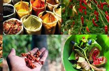 Zanzibar Cooking Class & Spice Tour 