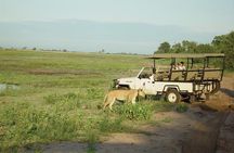Chobe Full Day Safari From Victoria Falls