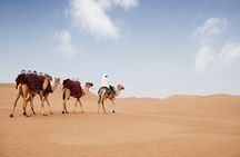 Evening Abu Dhabi Desert Safari & BBQ Dinner- Standard Tour 