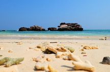 Phi Phi Islands One Day Tour by Speedboat From Phuket
