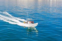 Ocean Wildlife Encounter in Cape Town