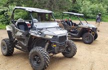 Guided Off-Road Vehicle Tours in North Idaho Forests