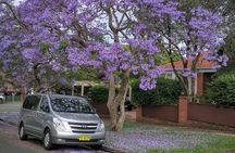 Sydney Secrets and Bondi Beach 4 HOUR MORNING PRIVATE TOUR