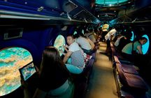 2-Hour Maldives Submarine Tour From Male
