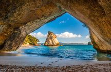 Hot Water Beach & Cathedral Cove Day Tour From Auckland