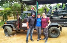 All Inclusive Udawalawe National Park Safari Day Tour from Colombo and Negombo