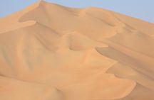 Desert Safari in the Rub al Khali