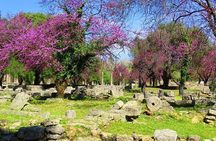 Private Olympia tour (4.5 hours)
