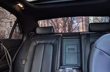 Chicago 6-Hour City Tour by Sedan