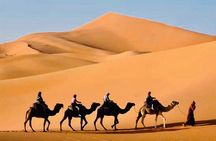 Morning Desert Bliss: Safari & Quad Bike Fun for Two