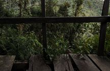 Los Quetzales Trail 