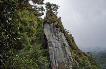 Los Quetzales Trail 