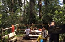 Los Quetzales Trail 