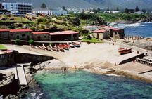 Hermanus Whale Coast Wine Tour (Cape To Grape Wine Tours)