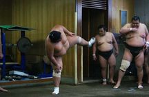 Watch Sumo Morning Practice at Stable in Tokyo