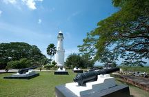 Kuala Selangor Tour from Kuala Lumpur with Fireflies Boat Ride and Seafood Dinner